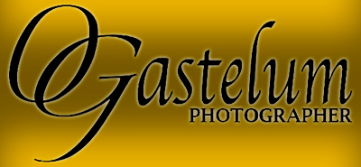 Gastelum